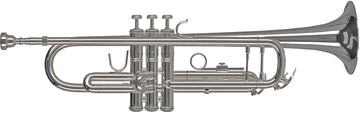 Ambition TR501S Sib Argentée
