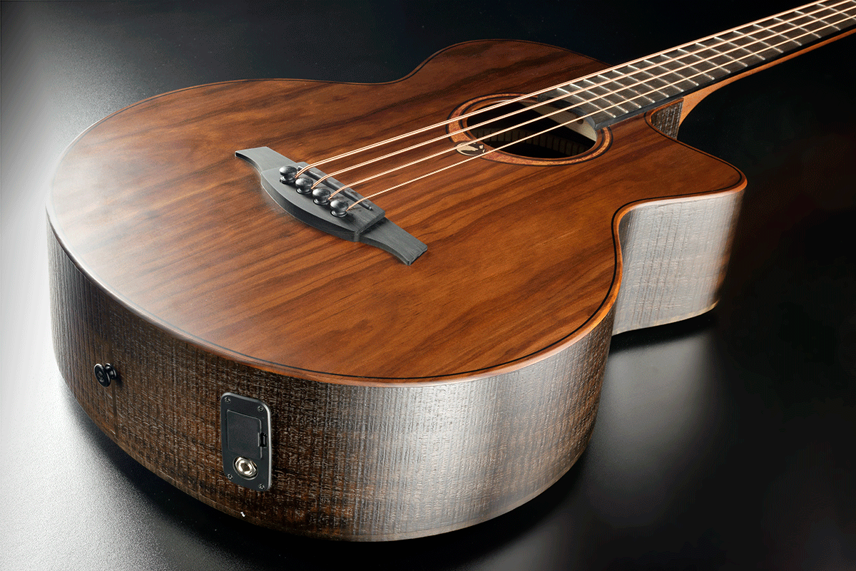 Sauvage Basse Electroacoustique Ctw