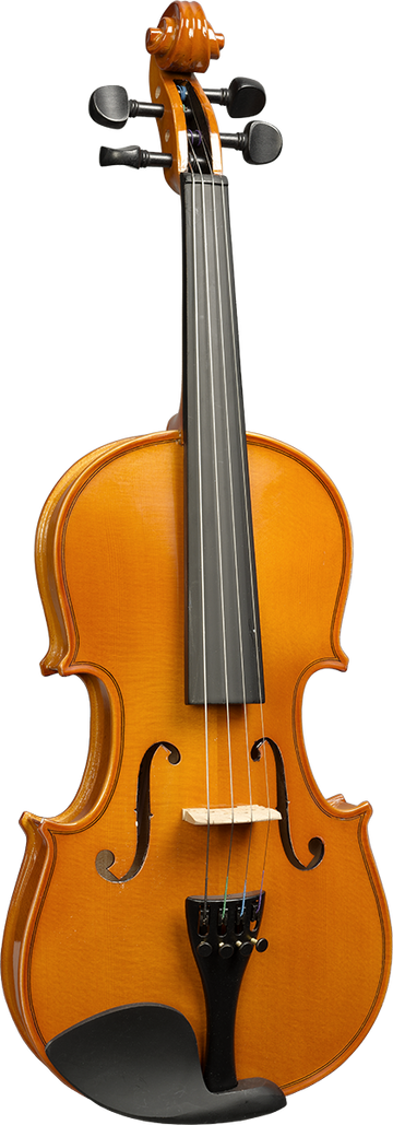 Violon Massif 3/4