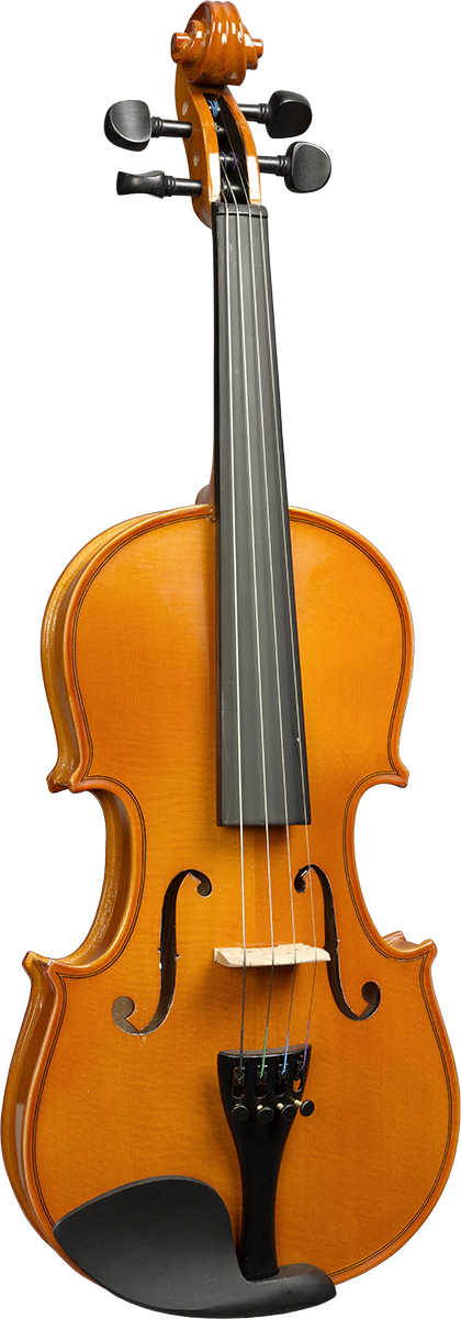 Violon Massif 3/4