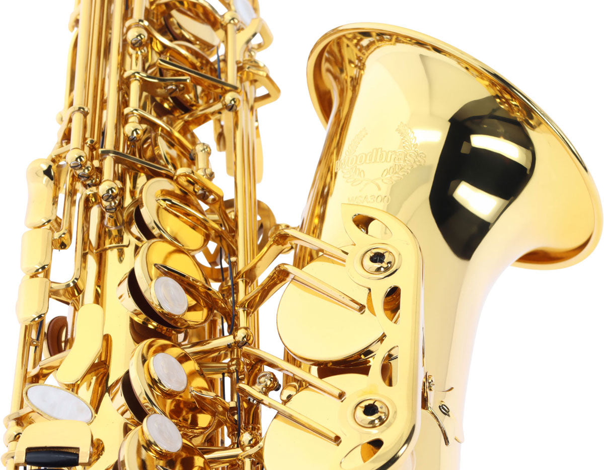 WSA300 - Alto Mi B Verni