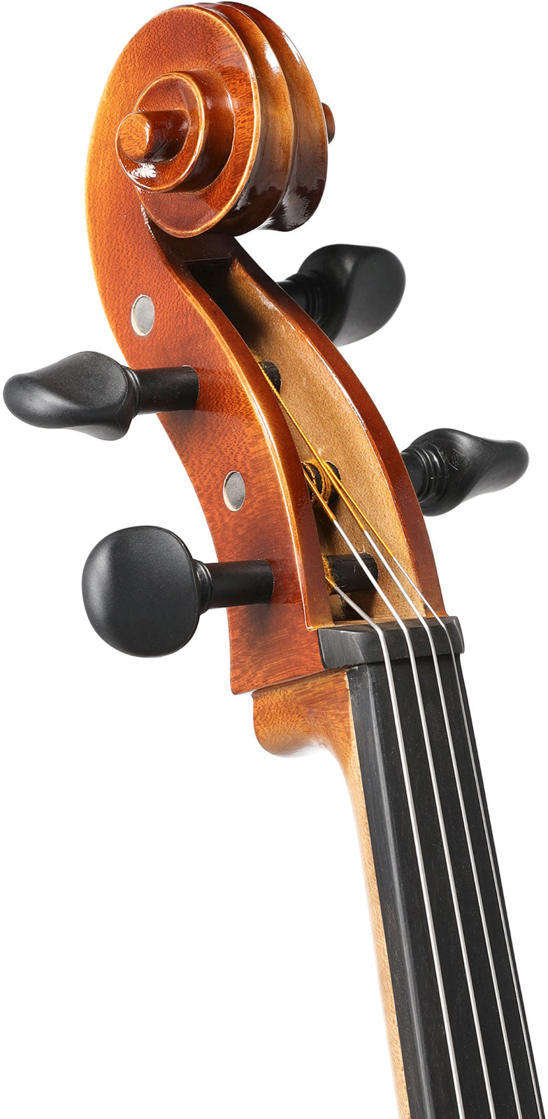 Violoncelle Anniversaire 4/4 Set Up