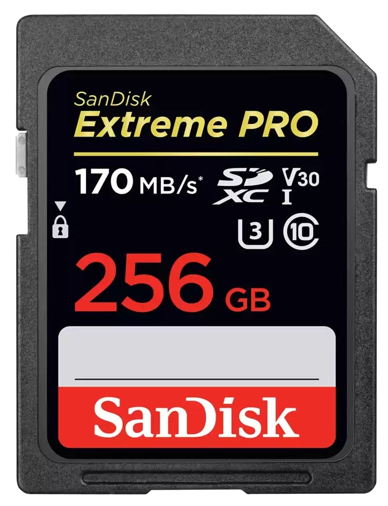 Extreme Pro 256 Go