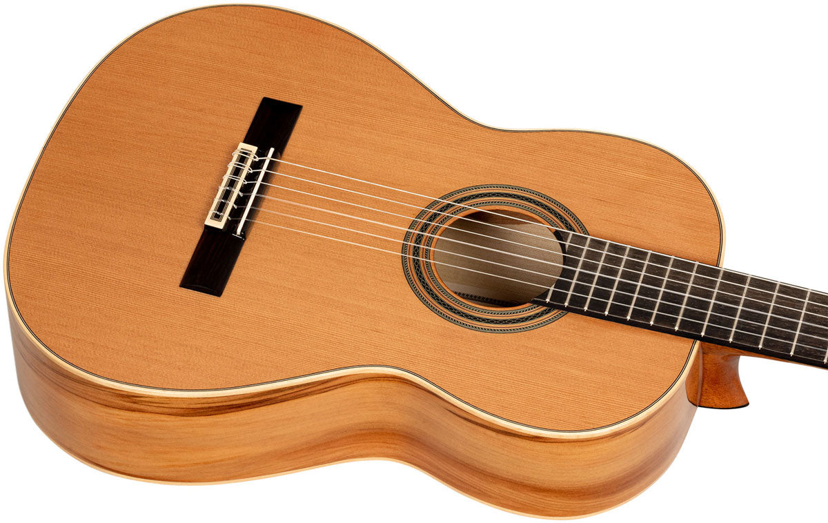 Traditional 4/4 + Pro Gig Bag