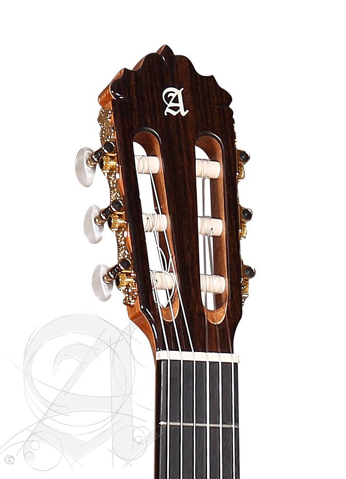 Conservatoire 7Fc Ct E2 Flamenco + 9738 25mm Housse
