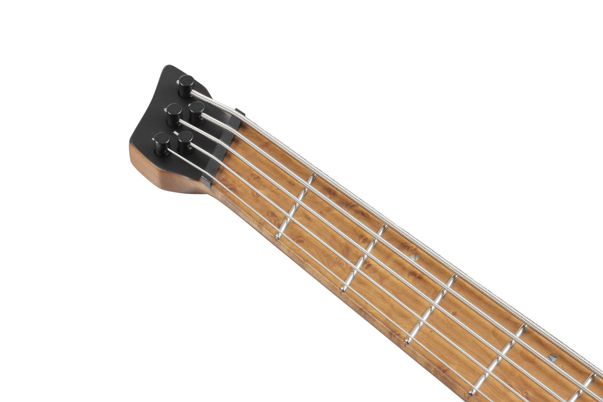 EHB1005MSL-SFM Seafoam Green Matte Bass Workshop LH