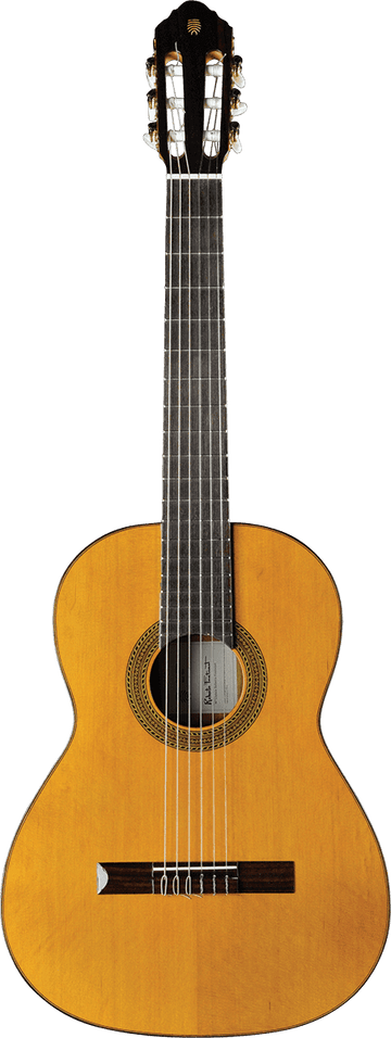 Vibra 300 4/4 Natural