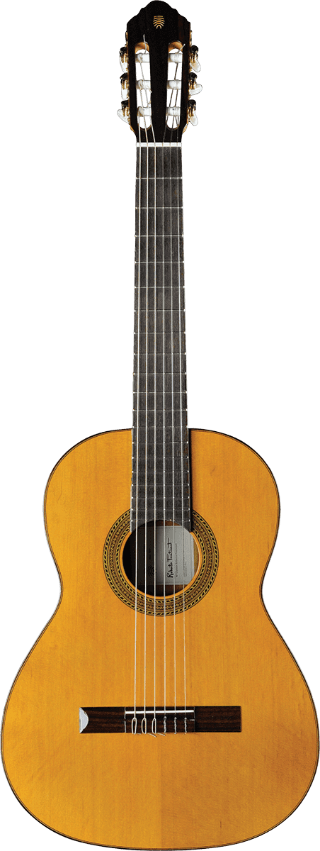 Vibra 300 4/4 Natural