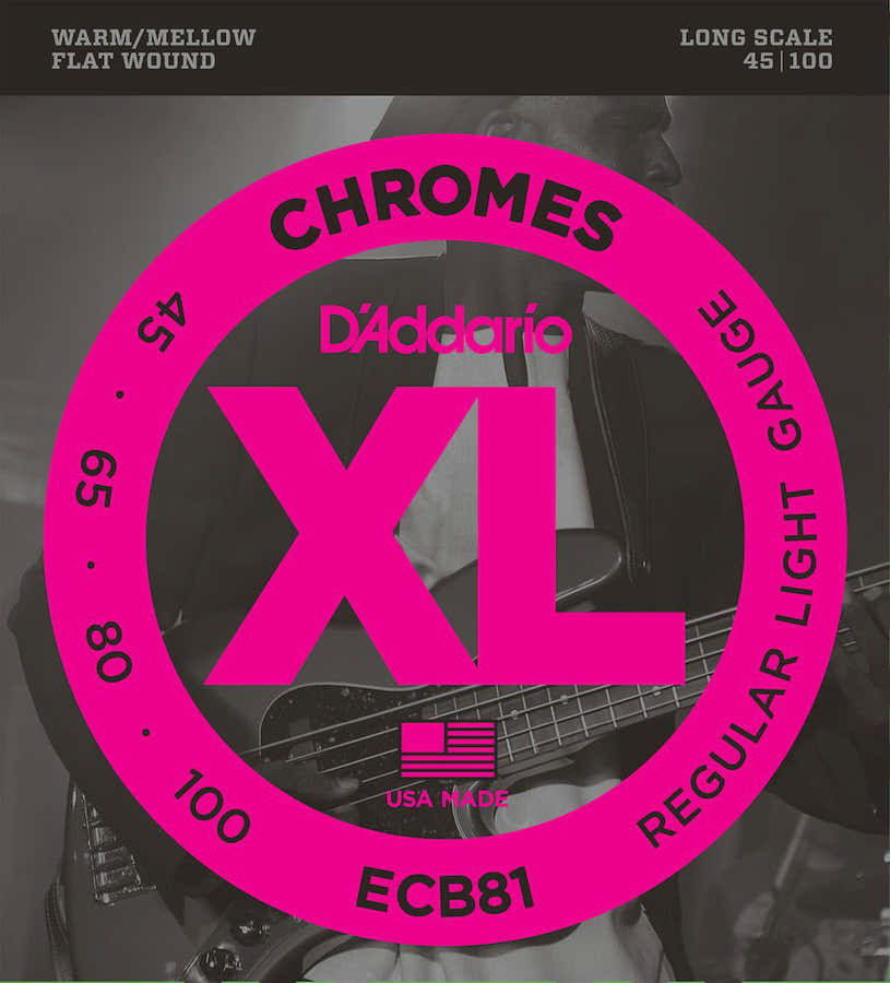 ECB81 Chromes Flatwound Long Scale Regular Light 45-100