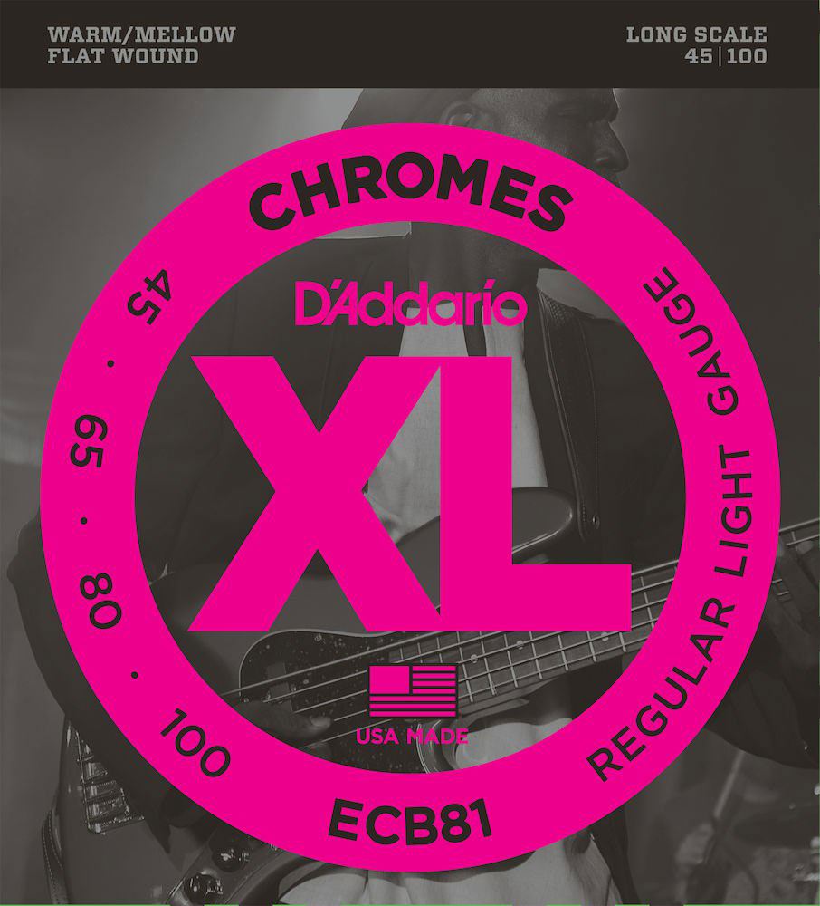 D'ADDARIO ECB81 Chromes Flatwound Long Scale Regular Light 45-100