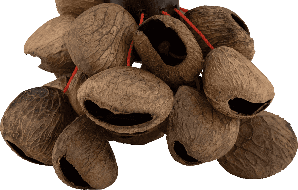 PBPGRH14 Nut Shaker Pangi Avec Poignee