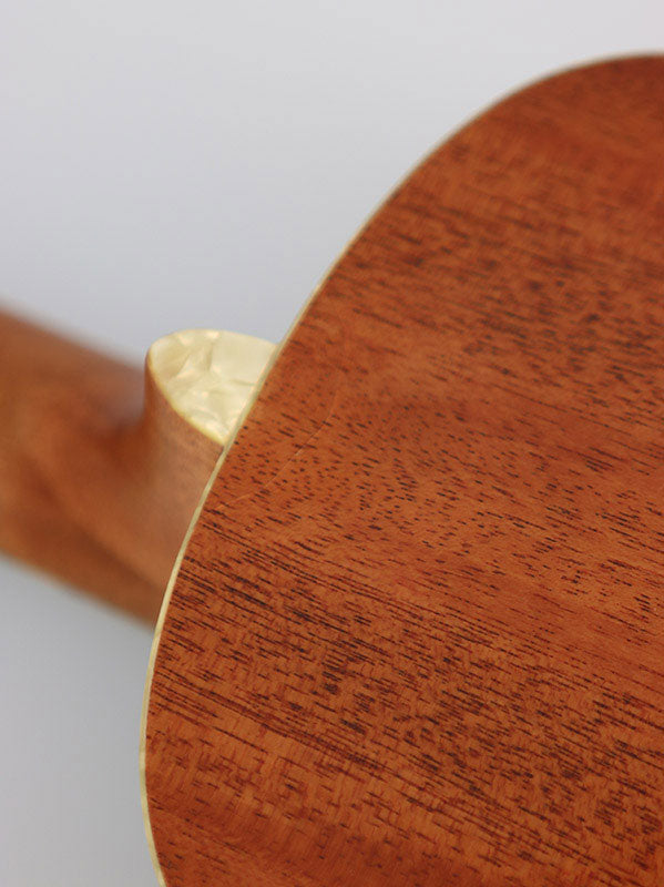 B-Stock / Brooklyn Green Archtop, Tenor, livré avec étui